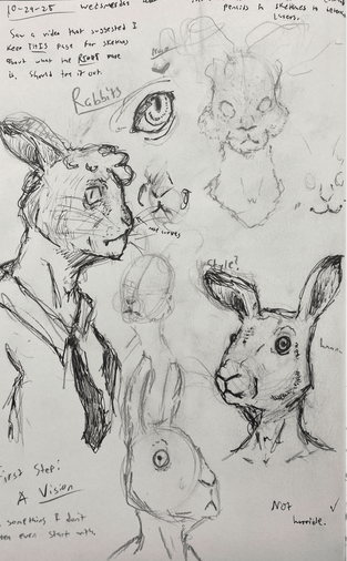 Rabbit Sketch Page